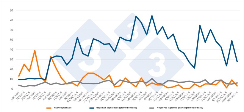 Evolución de positivos, capturas y vigilancia pasiva semanal en las zonas I y II. Fuente: 333 a partir de datos del MAPA.