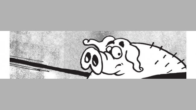 Relanzamiento productos porcinos