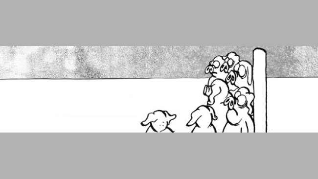 Lechones espabilados