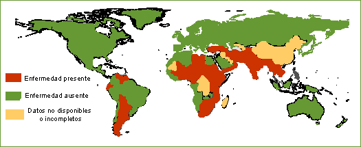 Situación sanitaria mundial del porcino en 2003: Fiebre aftosa - Artículos  - 3tres3, la página del Cerdo
