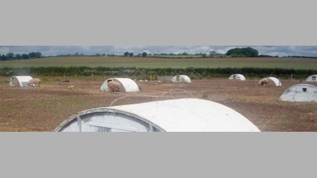 Producción en extensivo en Reino Unido