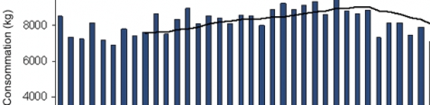 Initiative Yellow Card