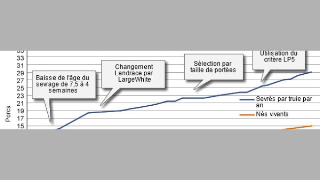 Evolution du niveau de production des élevages danois au cours des 40 dernières années.