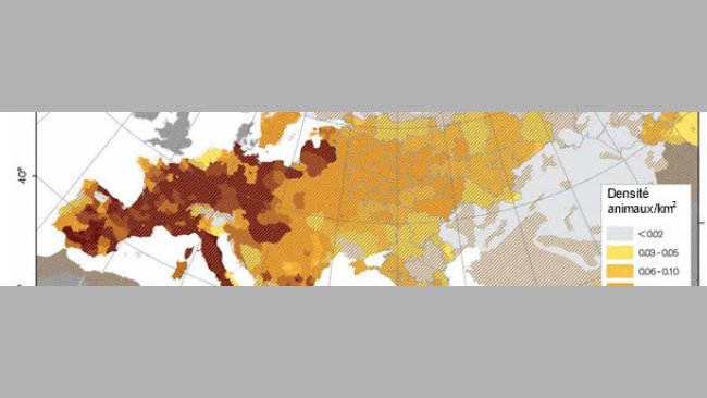 Densité de sangliers en Europe