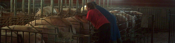 d&eacute;tection pour IA