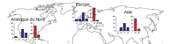 Pr&eacute;valences g&eacute;ographiques de diff&eacute;rentes souches de TTSuV