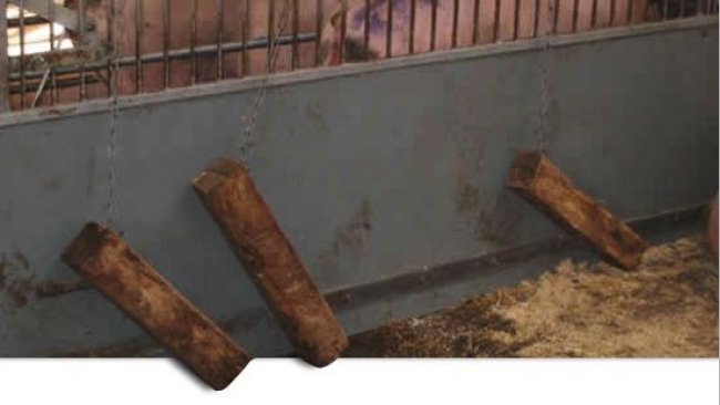 Matériel manipulable dans la case.