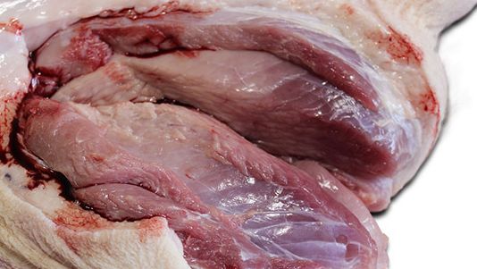 P&acirc;leur prononc&eacute;e du M. semimembranosus