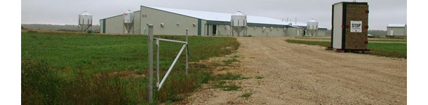 Elimination du virus SDRP