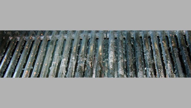 La météorologie n'a pas encouragé les barbacues allemands