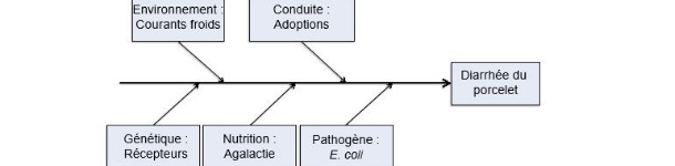 Mod&egrave;le de cinq facteurs productifs comme causes de maladie.