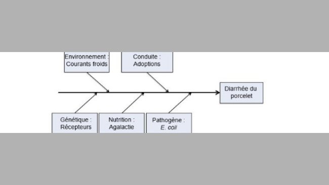 Modèle de cinq facteurs productifs comme causes de maladie.