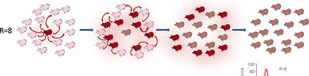 Taux de reproduction dans un contexte &eacute;p&iacute;d&eacute;mique ou end&eacute;mique
