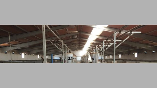 Bâtiment de gestation confirmée avec installation longitudinale de la partie translucide