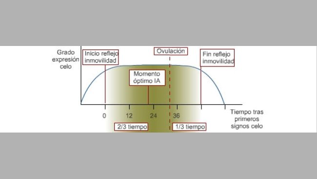Pautas de cubrición