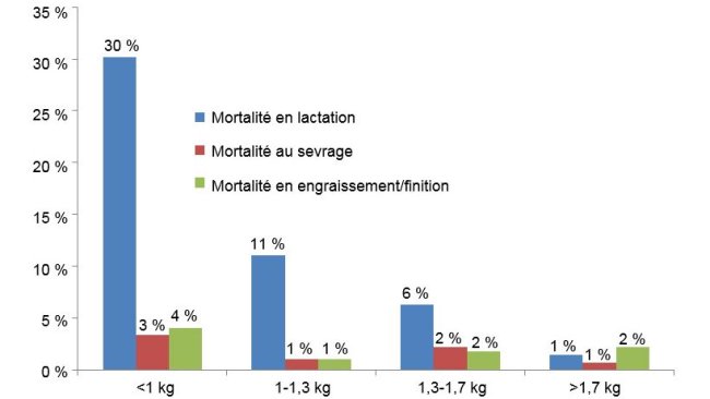 Mortalité pour chaque groupe de poids à chaque étape de production.