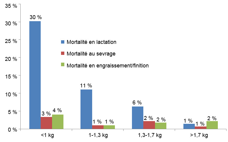 Mortalit&eacute; pour chaque groupe de poids &agrave; chaque &eacute;tape de production.