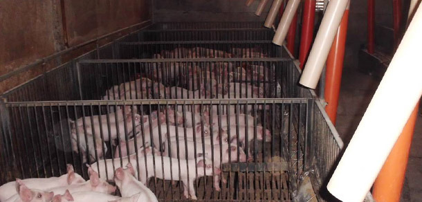 Plus le nombre de salles est grand, plus de zones d&rsquo;alimentation, de d&eacute;f&eacute;cation et de repos sont n&eacute;cessaires.