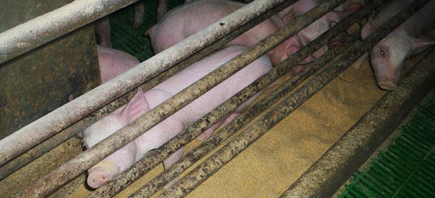 Si les trois zones ne restent pas bien d&eacute;limit&eacute;es, on aura des probl&egrave;mes.