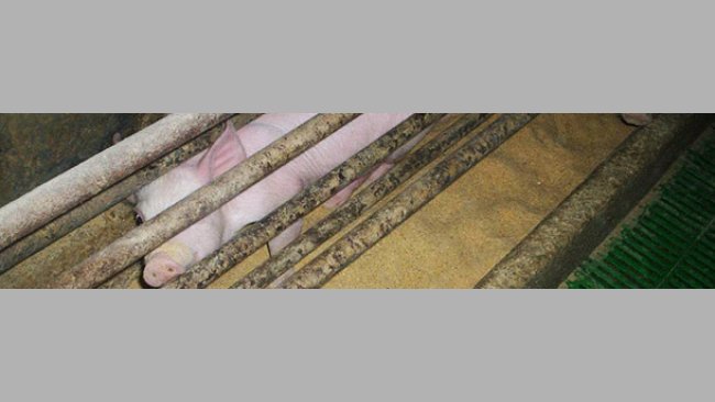 Si les trois zones ne restent pas bien délimitées, on aura des problèmes.