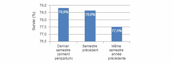 Graphique 1 : Survie des porcelets sevrés par rapport aux nés-totaux pendant le dernier semestre (utilisation de l’aliment péripartum) par rapport au semestre précédent et à la même période de l’année précédente (périodes pendant lesquelles on n’utilisait pas d’aliment spécifique de péripartum).