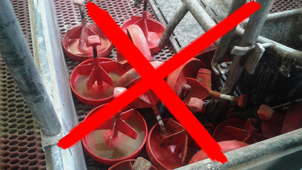 Mangeoires rang&eacute;es incorrectement.
