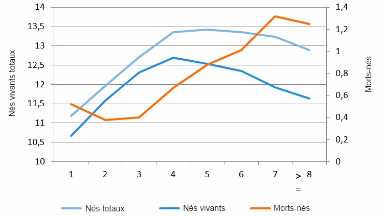 Figure 1 : Moyenne des n&eacute;s vivants en 2015 selon le rang de mise-bas
