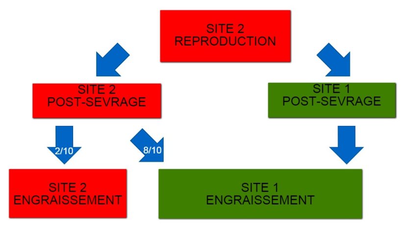 Figure 1: Sch&eacute;ma des deux sites de production et du flux des animaux
