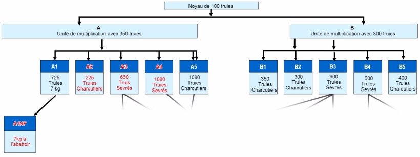 Figure 1. Structure de l'entreprise - Tous les sites en rouge ont connu de la MO clinique en 2015/16.
