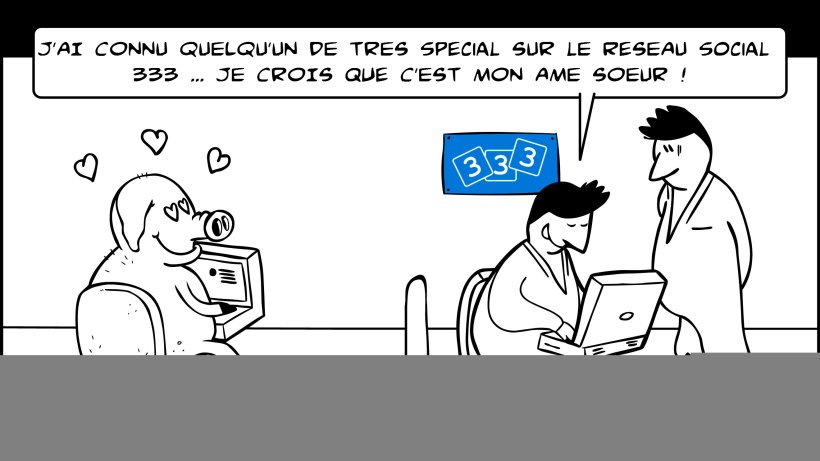 Le réseau social 333