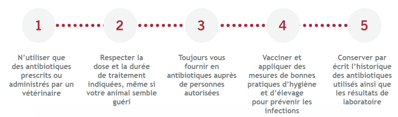 L'utilisation responsable des antimicrobiens.
