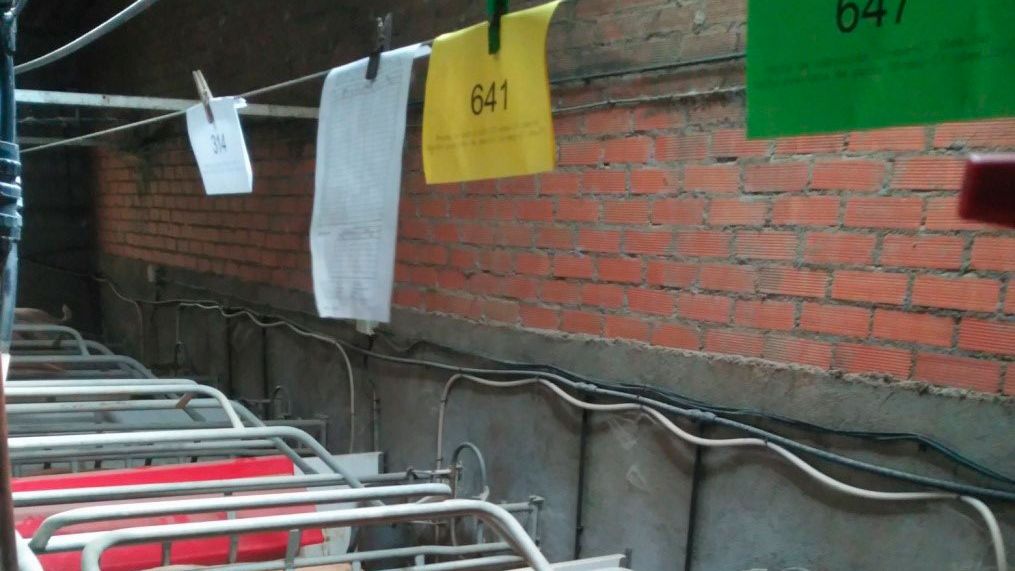 Maternit&eacute; avec les fiches de couleurs diff&eacute;rentes
