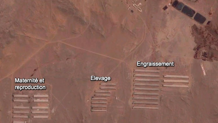 Photo 1. Distribution de l'&eacute;levage
