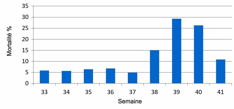 Graphique 1. Pourcentage de mortalit&eacute; hebdomadaire pr&eacute;-sevrage, avant et pendant l'&eacute;pisode de DEP
