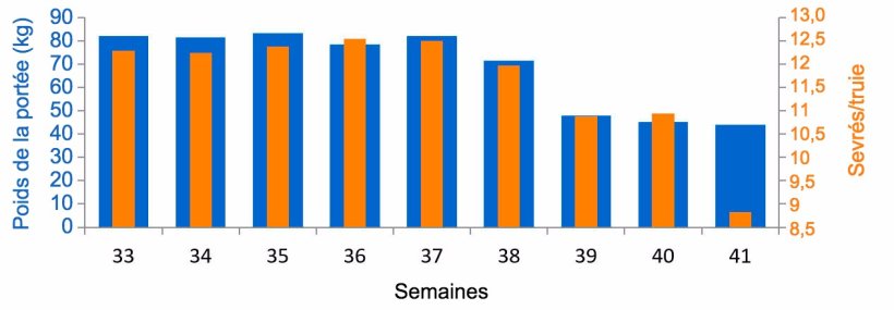 Graphique 3. Moyenne de porcelets sevr&eacute;s/femelle et kg de port&eacute;e, avant et pendant l'&eacute;pisode de DEP (&agrave; partir de la semaine38).
