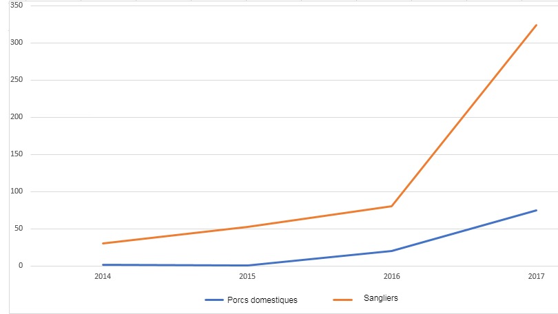 Evolution de foyers de PPA chez les porcs domestiques et les sangliers en Pologne.