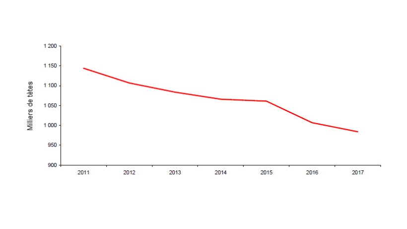 Les effectifs de truies sont en baisse constante. Source: Agreste, enqu&ecirc;tes Cheptel
