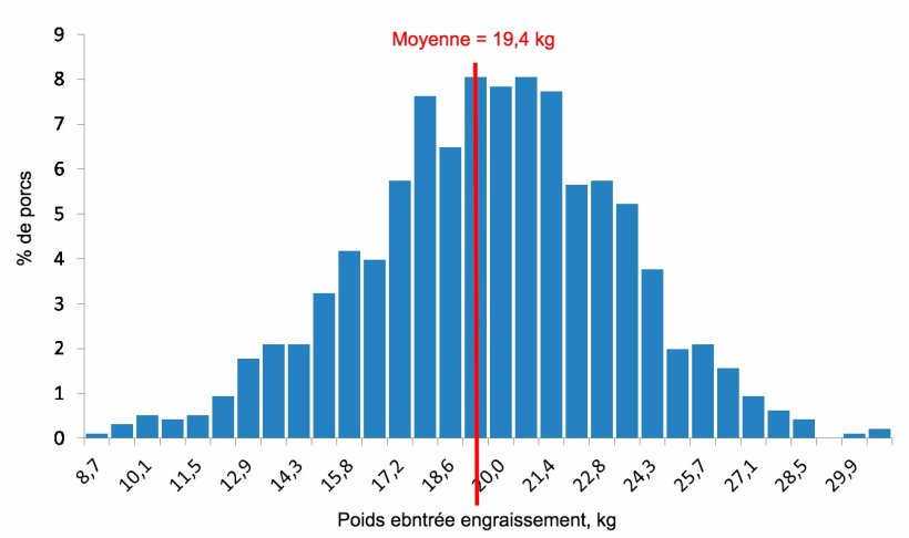Figure 4. Distribution des poids &agrave; l'entr&eacute;e en engraissement
