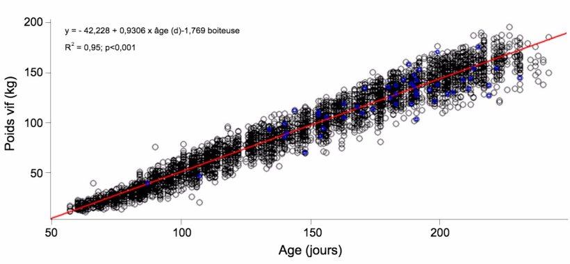 Graphique 1. &Eacute;volution du poids vif et de l'&acirc;ge des nullipares boiteuses (bleu) et non boiteuses (noir)
