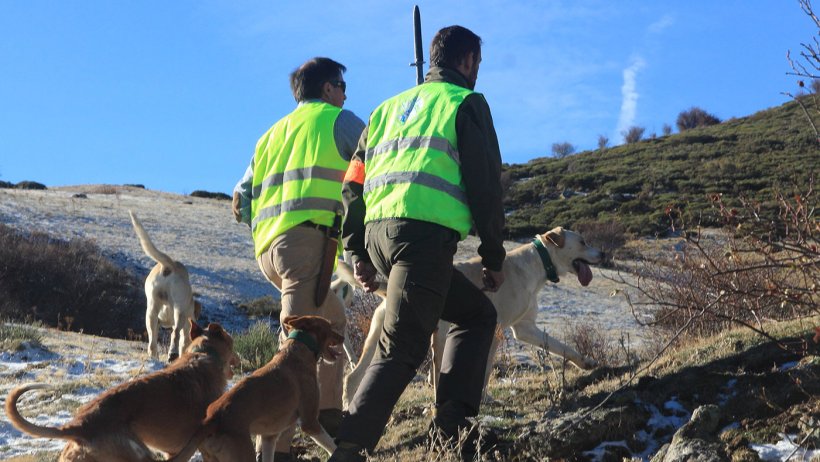 Photo 5: La chasse est n&eacute;cessaire mais les chiens ne devraient pas avoir acc&egrave;s &agrave; l'&eacute;levage.
