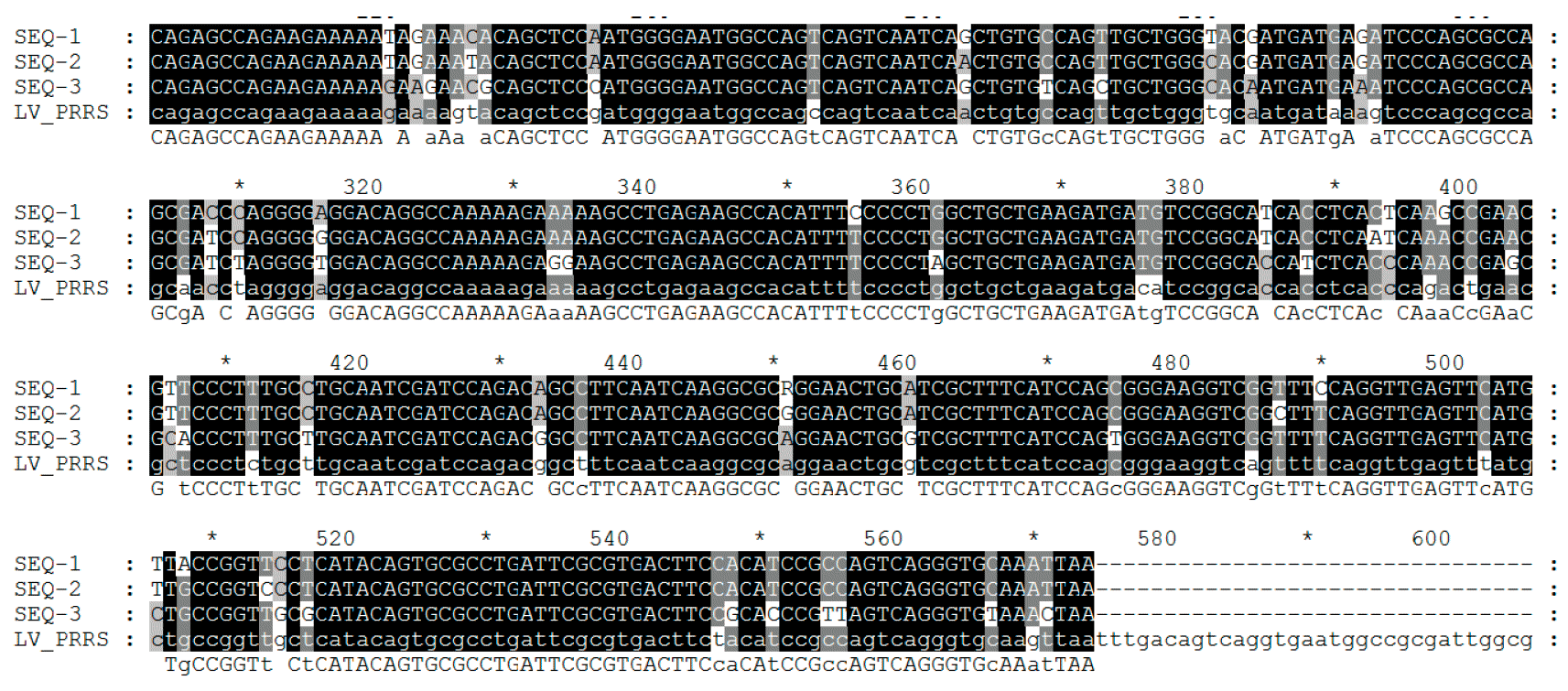 Figure 2. Le s&eacute;quen&ccedil;age du virus est r&eacute;alis&eacute; &agrave; partir de produits de PCR en obtenant la lecture de nucl&eacute;otides g&eacute;n&eacute;ralement &agrave; partir de certains fragments du g&eacute;nome de l'ARN viral dans certaines r&eacute;gions ORF cibles.
