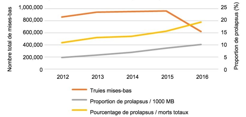 Fig.1 Nombre total de mises-bas dans l'analyse et évolution dans le temps de la proportion de prolapsus de truies sur 1000 truies mises-bas ou sur le nombre total de truies mortes dans les élevages.