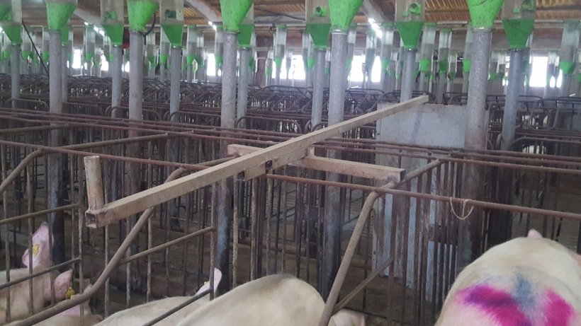 Les portes du couloir avant facilitent la d&eacute;tection et l'ins&eacute;mination. Il est tr&egrave;s important que les portes puissent &ecirc;tre ouvertes et ferm&eacute;es facilement par l'arri&egrave;re.
