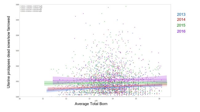 Figure 1. Résultats du modèle du pourcentage de truies mortes à cause du prolapsus utérin sur le nombre total de truies issues par rapport à la moyenne des nés totaux au cours des années (moyenne ± IC à 95%) 2014, 2015, 2016 et 2017
