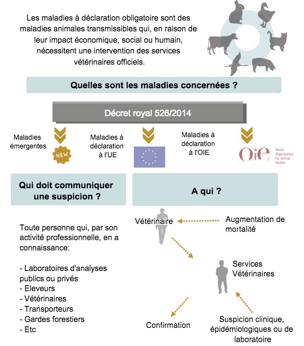 Maladies à déclaration obligatoire (adapté du MAPAMA, Espagne)