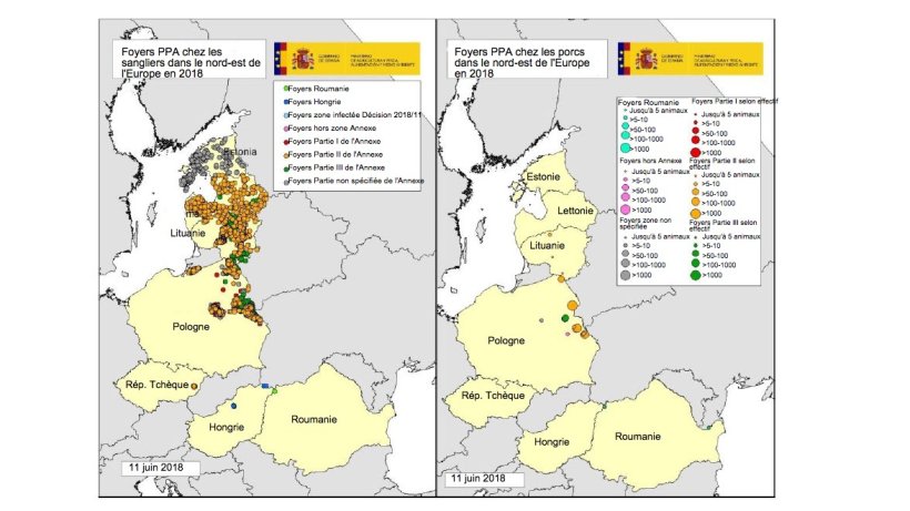 Carte foyers d&eacute;clar&eacute;s en Estonie, Hongrie, Lettonie, Lituanie, Pologne, R&eacute;p. Tch&egrave;que et Roumanie en 2018 (jusqu'au 11/06/2018) (Source RASVE-ADNS)
