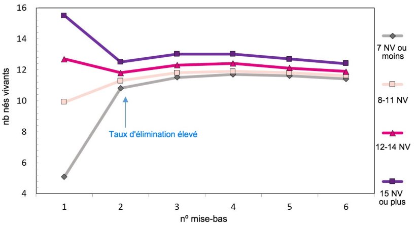 Graphique 1. Production tout au long de la vie de la truie selon les porcelets nés.