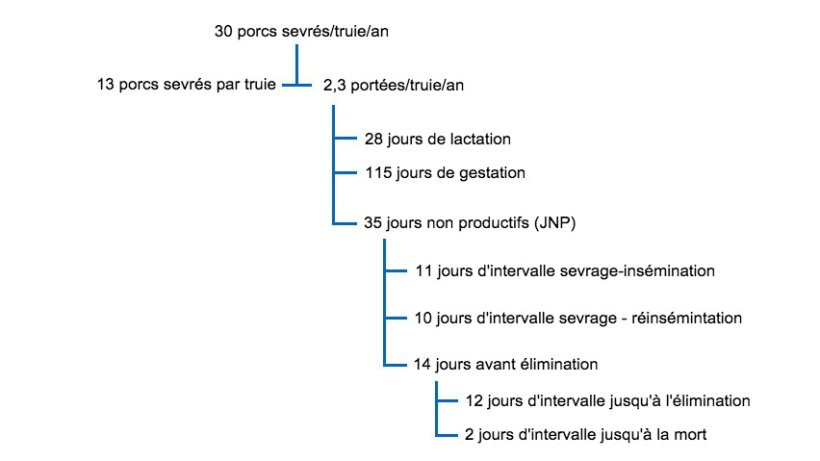 Fig. 1 Interrelation entre les JNP et les autres facteurs de productivit&eacute; dans un arbre productif pour 30 porcs sevr&eacute;s par truie et par an
