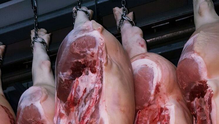 viande