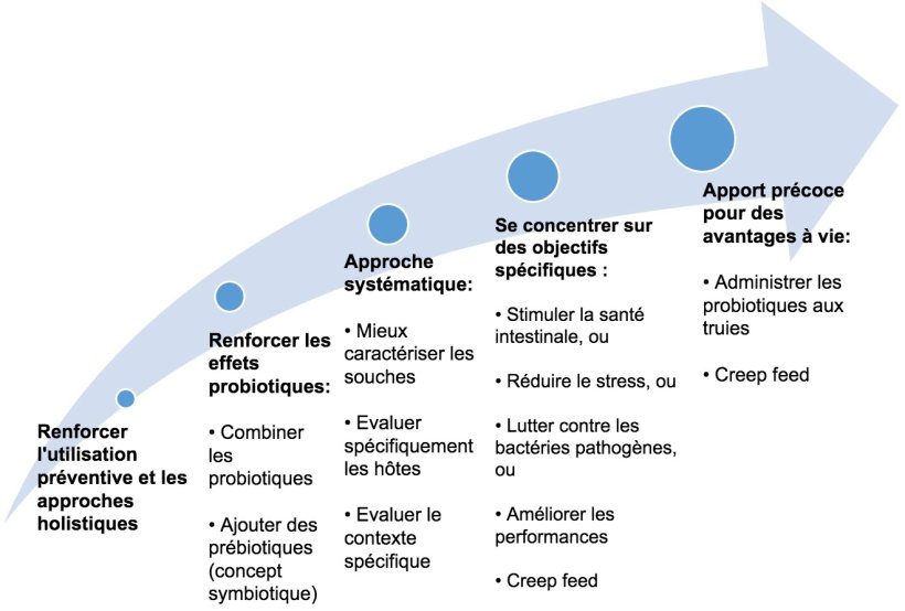 Figure 2. Strat&eacute;gies visant &agrave; am&eacute;liorer l'utilisation des probiotiques &agrave; un stade pr&eacute;coce.
